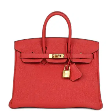 HERMÈS Pre-owned Hermes Birkin 25 Rouge Pivone Togo Gold Hardware | Thumbnail 1