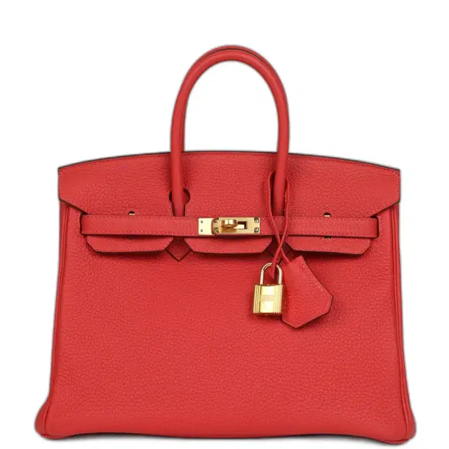 hermes Pre-owned Hermes Birkin 25 Rouge Pivone Togo Gold Hardware