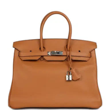 HERMÈS Pre-owned Hermes Birkin 35 "Sea Surf and Fun" Toffee Novillo Palladium Hardware | Thumbnail 1