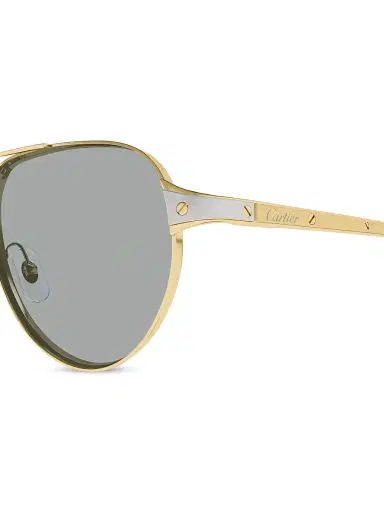 Cartier Men's Santos Evolution 59MM 24K-Gold-Plated & Platinum-Plated Metal Pilot Sunglasses - Gold Grey | Thumbnail 6 Cartier Men's Santos Evolution 59MM 24K-Gold-Plated & Platinum-Plated Metal Pilot Sunglasses - Gold Grey | Thumbnail 6