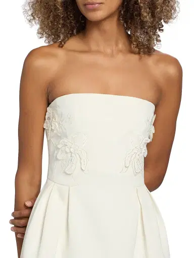 Ramy Brook Women's Lily Appliquéd Strapless Minidress - | Thumbnail 6