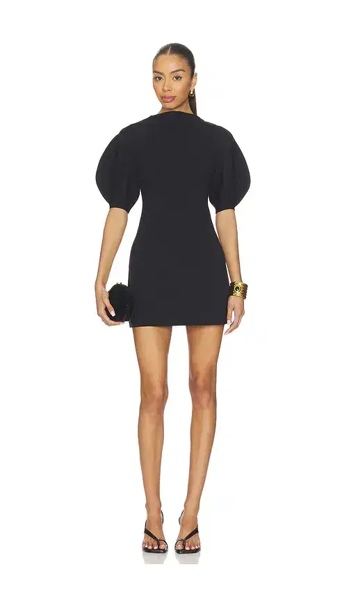 Cult Gaia Iva Dress