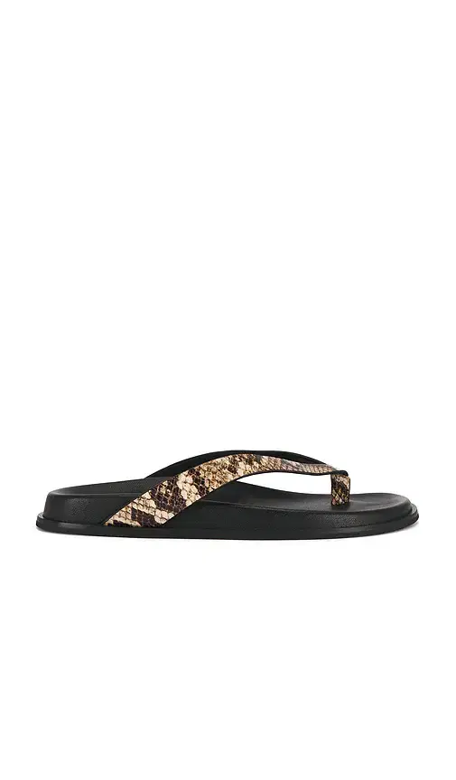 Zadie Sandal