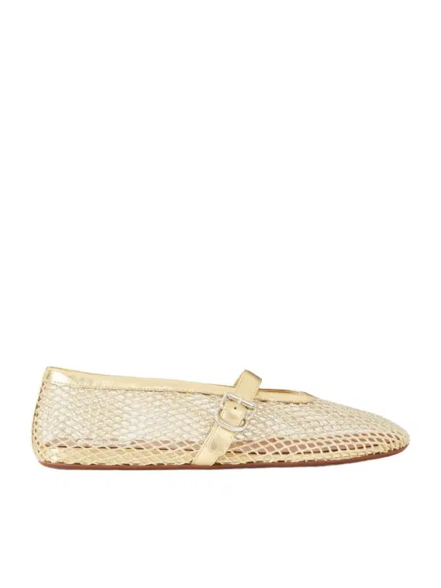 Metallic Leather-trimmed Mesh Ballet Flats