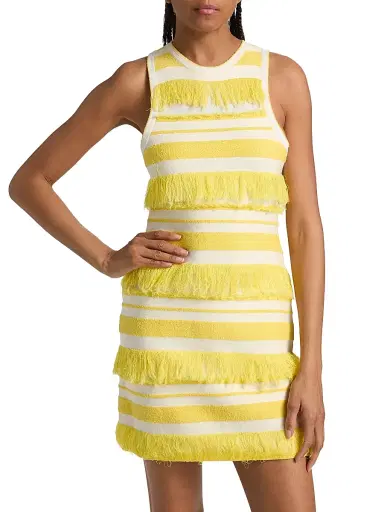 Simkhai Women's Elly Striped Fringe Knit Minidress | Thumbnail 3