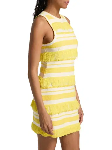 Simkhai Women's Elly Striped Fringe Knit Minidress | Thumbnail 4