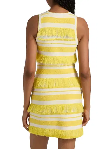 Simkhai Women's Elly Striped Fringe Knit Minidress | Thumbnail 5