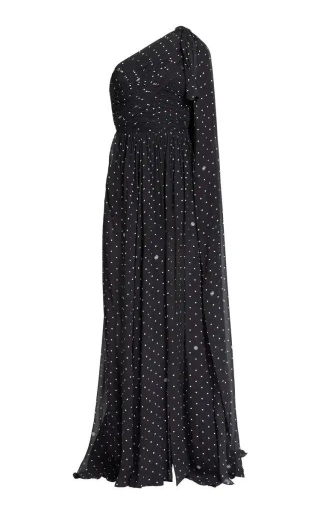 Elie Saab Printed Chiffon Long Dress