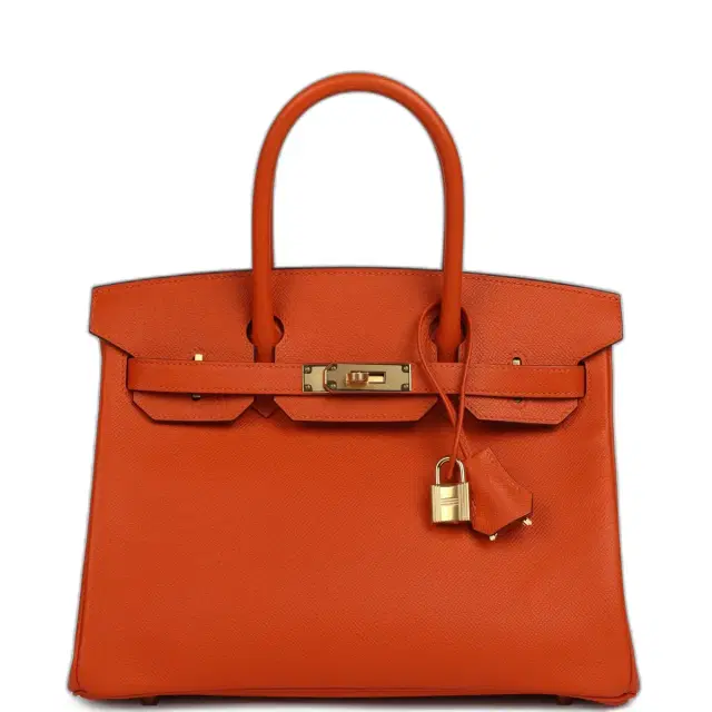 hermes Hermes Birkin 30 Feu Epsom Gold Hardware