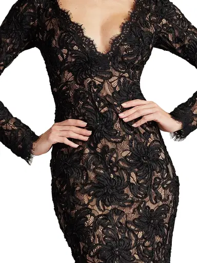 Sho by Tadashi Shoji Women's Lace V-neck Column Gown - Black Beige | Thumbnail 6
