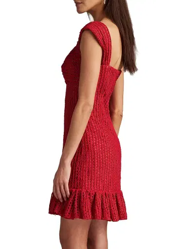 Tadashi Shoji Women's Crocheted Sweetheart Minidress - Rouge - Size 10 | Thumbnail 4