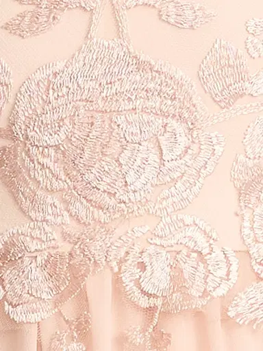 Tadashi Shoji Women's Lace-Embroidered Pleated Gown - Pale Pink - Size 16 | Thumbnail 6