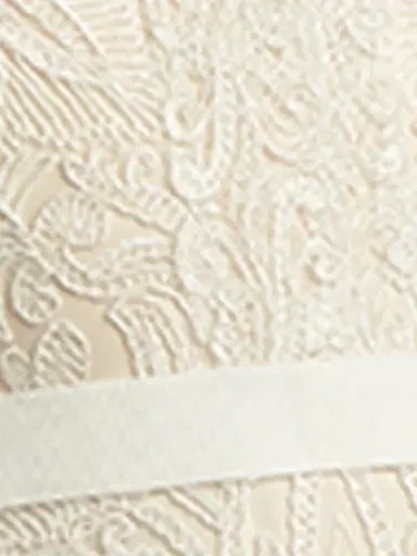Tadashi Shoji Women's Corded Lace V-Neck Midi-Dress - White Petal - Size 14 | Thumbnail 4 Tadashi Shoji Women's Corded Lace V-Neck Midi-Dress - White Petal - Size 14 | Thumbnail 4