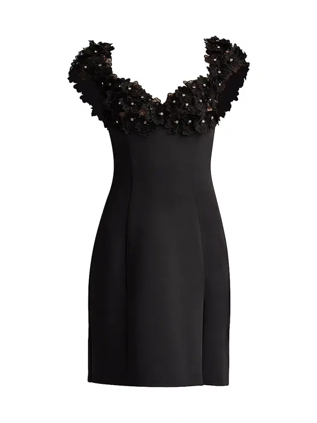 Tadashi Shoji Women's Floral-Appliquéd Minidress - Black
