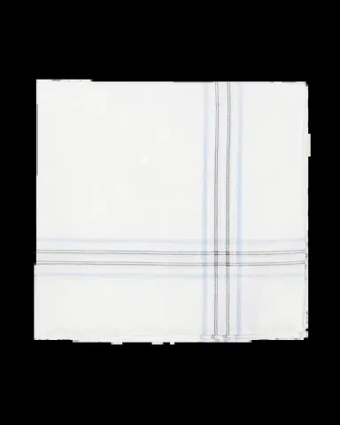Simonnot Godard Men's Plaid Stripe Handkerchief | Thumbnail 2
