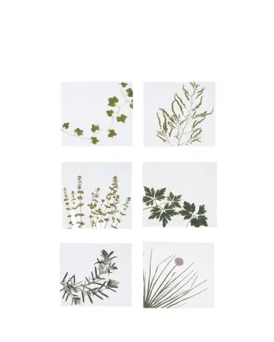 SUMMERILL & BISHOP Herbarium Napkins, Set of 6 | Thumbnail 1 SUMMERILL & BISHOP Herbarium Napkins, Set of 6 | Thumbnail 1
