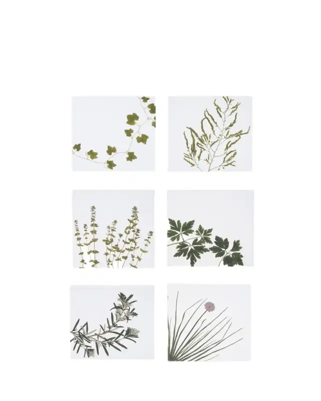 SUMMERILL & BISHOP Herbarium Napkins, Set of 6