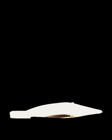 Tom Ford Julianna Satin Pointed-Toe Flats | Thumbnail 2