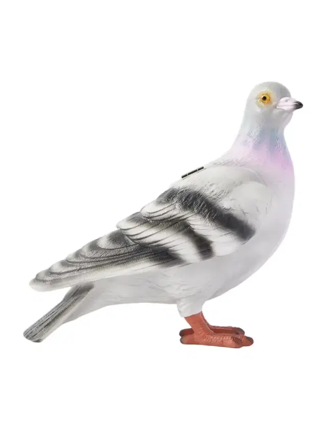 Pigeon Resin Clutch