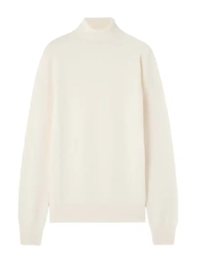 Eve Merino Wool Turtleneck Sweater