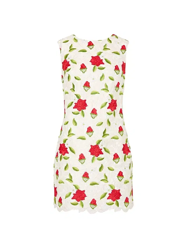 Women's Ivette Rose-Embroidered Minidress - White Red Green