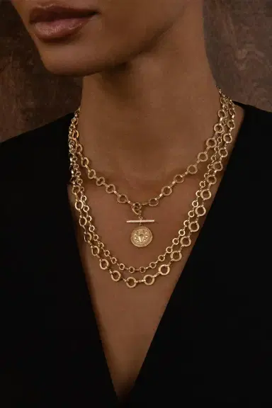 Azlee Medium Circle-Link Smooth Chain Necklace | Thumbnail 2