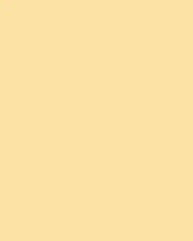 Monica Rich Kosann 18K Yellow Gold Charm Enhancer Chain Necklace, 18" | Thumbnail 3