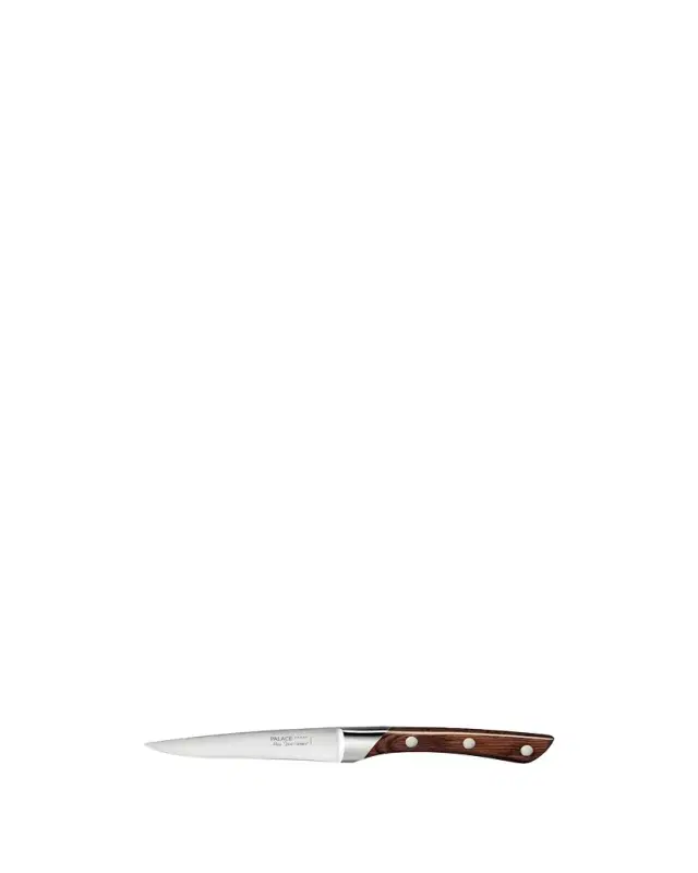 Alain Saint Joanis Palace Steak Knives with Resin Handles, Set of 6