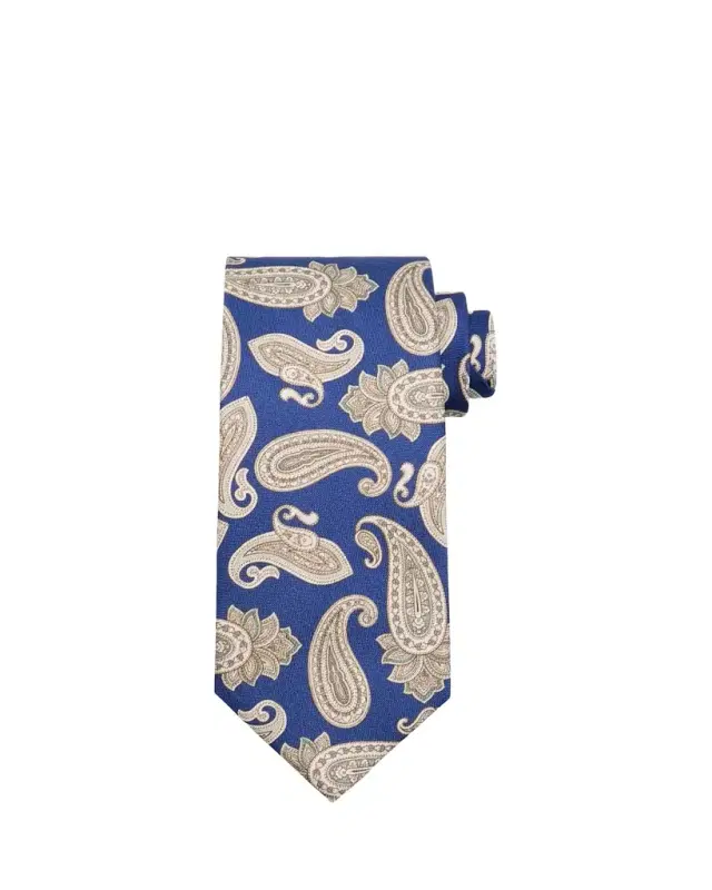 Men's Large Paisley Silk Tie