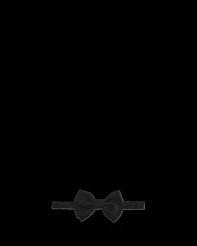 Giorgio Armani Men's Butterfly Bow Tie | Thumbnail 2