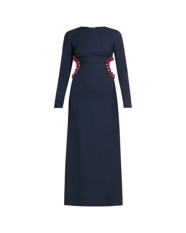 Diotima Helm Embellished Cutout Long-Sleeve Maxi Dress