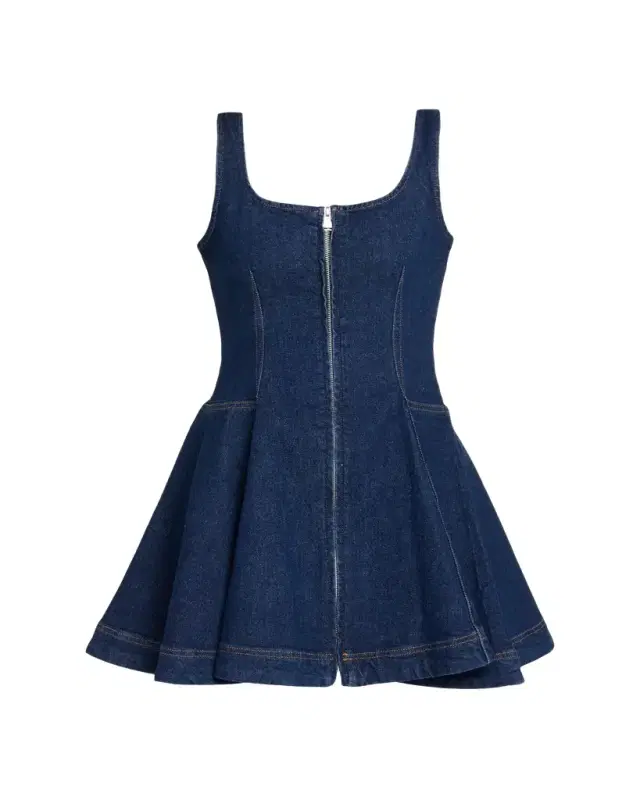 Eleodra Denim Mini Dress