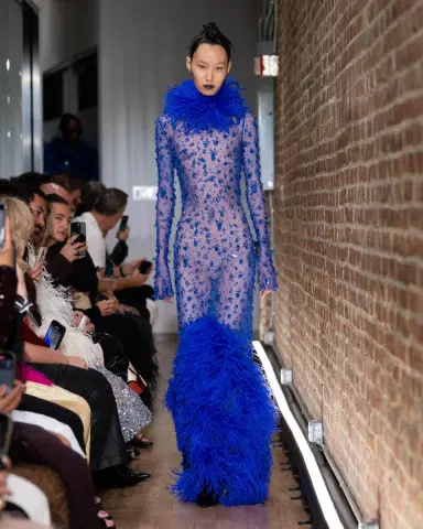 LAPOINTE Embroidered Mesh Boatneck Gown With Feathers | Thumbnail 2