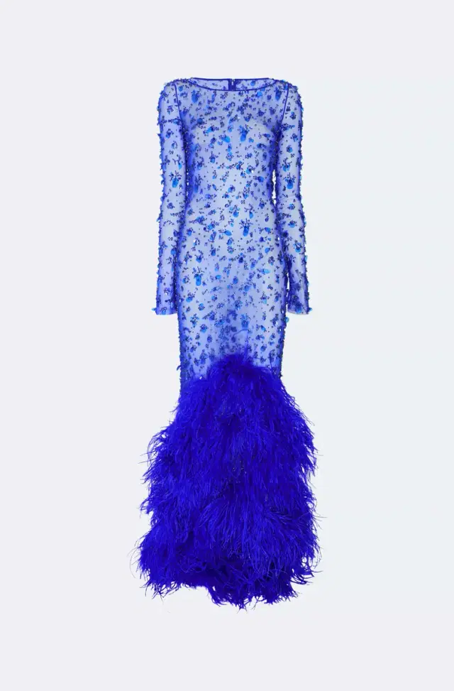 Embroidered Mesh Boatneck Gown With Feathers