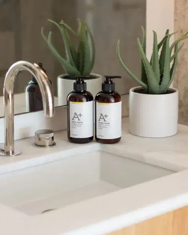 Agraria 12 oz. Lemon Verbena A+ Ginkgo Biloba Hand Wash | Thumbnail 2 Agraria 12 oz. Lemon Verbena A+ Ginkgo Biloba Hand Wash | Thumbnail 2