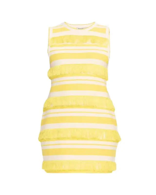 Elly Knit Fringe Mini Dress