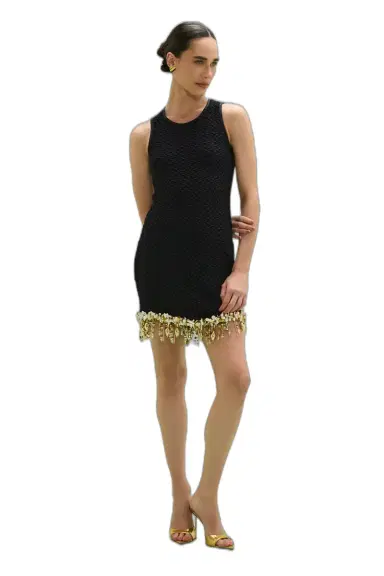 PatBo FRIDA MESH MINI DRESS | Thumbnail 1 PatBo FRIDA MESH MINI DRESS | Thumbnail 1