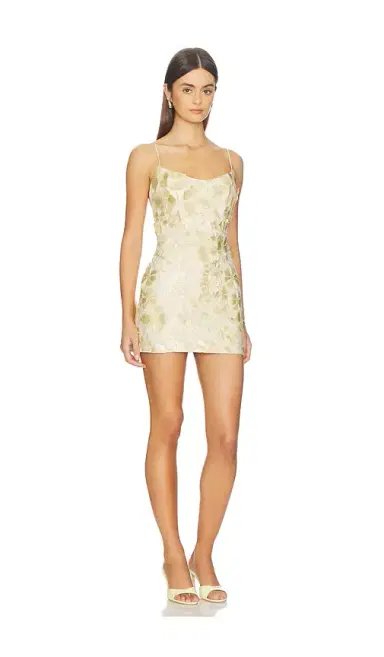 Lovers and Friends Marlee Mini Dress | Thumbnail 2