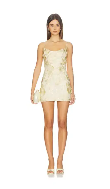 Lovers and Friends Marlee Mini Dress | Thumbnail 1