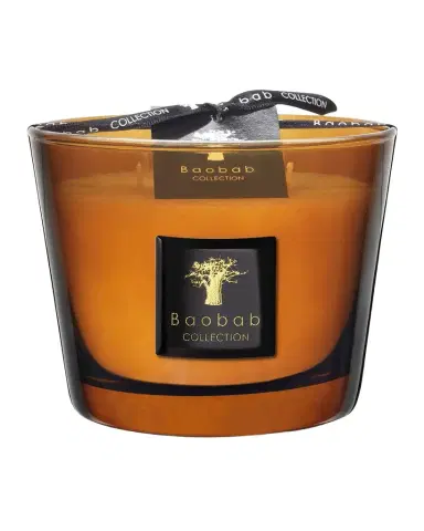 Baobab Collection Max 10 Les Prestigieuses Cuir de Russie Scented Candle | Thumbnail 1