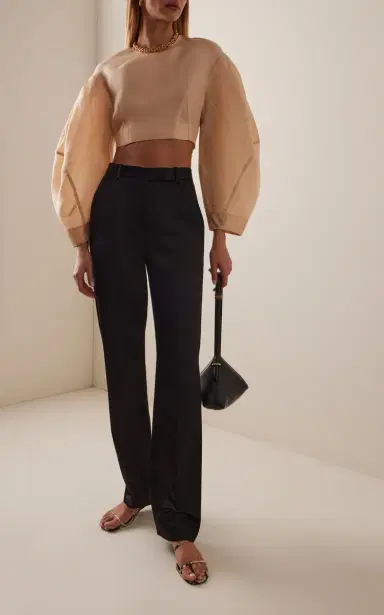 Temily Power Puff Silk Gazar Crop Top | Thumbnail 2