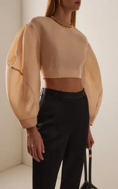 Temily Power Puff Silk Gazar Crop Top | Thumbnail 3