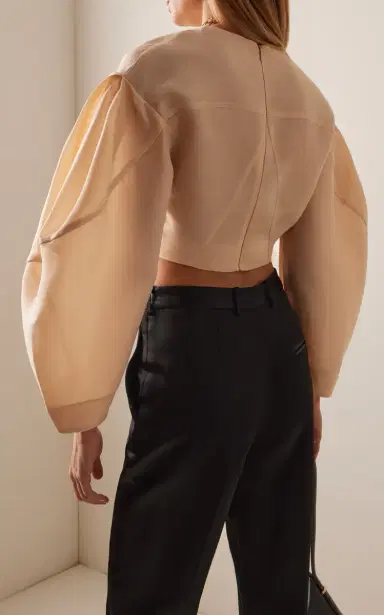 Temily Power Puff Silk Gazar Crop Top | Thumbnail 4