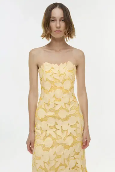 Simkhai Valletta Strapless Embroidered Dress | Thumbnail 3 Simkhai Valletta Strapless Embroidered Dress | Thumbnail 3