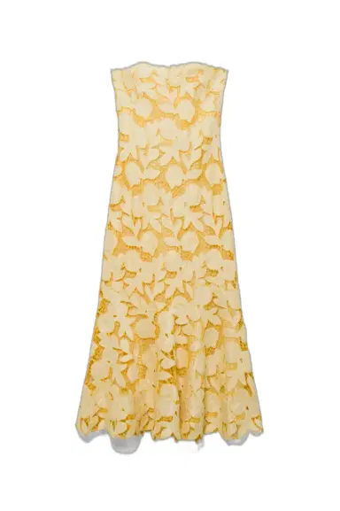 Simkhai Valletta Strapless Embroidered Dress | Thumbnail 1 Simkhai Valletta Strapless Embroidered Dress | Thumbnail 1