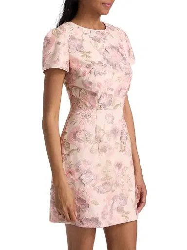 Milly Women's Daisy Floral-Embroidered Minidress - Blush | Thumbnail 4