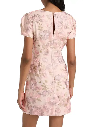 Milly Women's Daisy Floral-Embroidered Minidress - Blush | Thumbnail 5