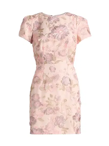 Milly Women's Daisy Floral-Embroidered Minidress - Blush | Thumbnail 1