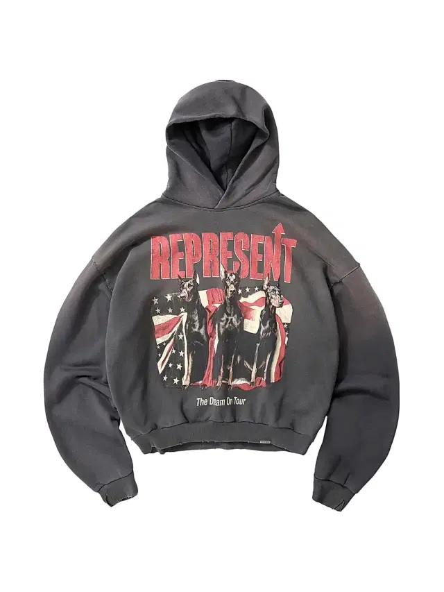 Men's Dream On Tour Sunfaded Hoodie - Sun Fade Grey
