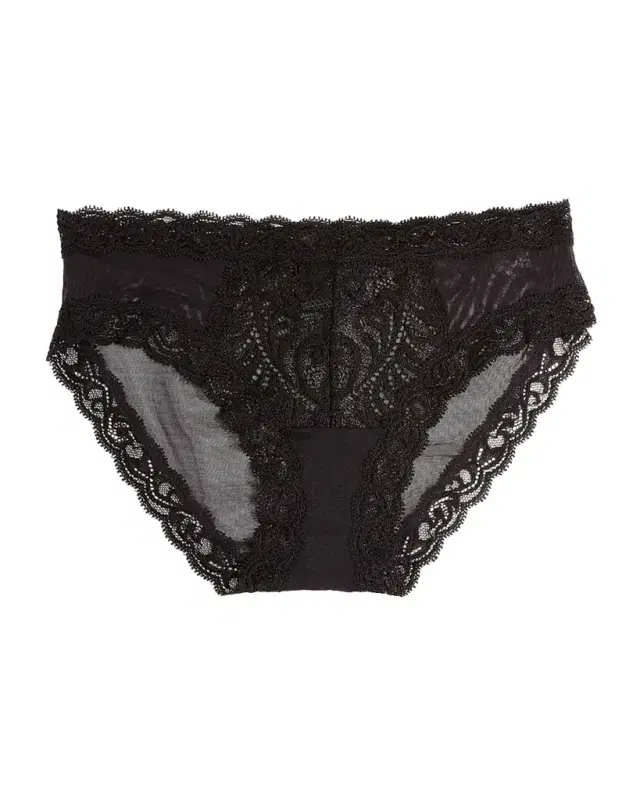 Feathers Lace-Trim and Mesh Hipster Briefs